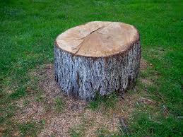 Best Commercial Tree Services  in North Lindenhurst, NY